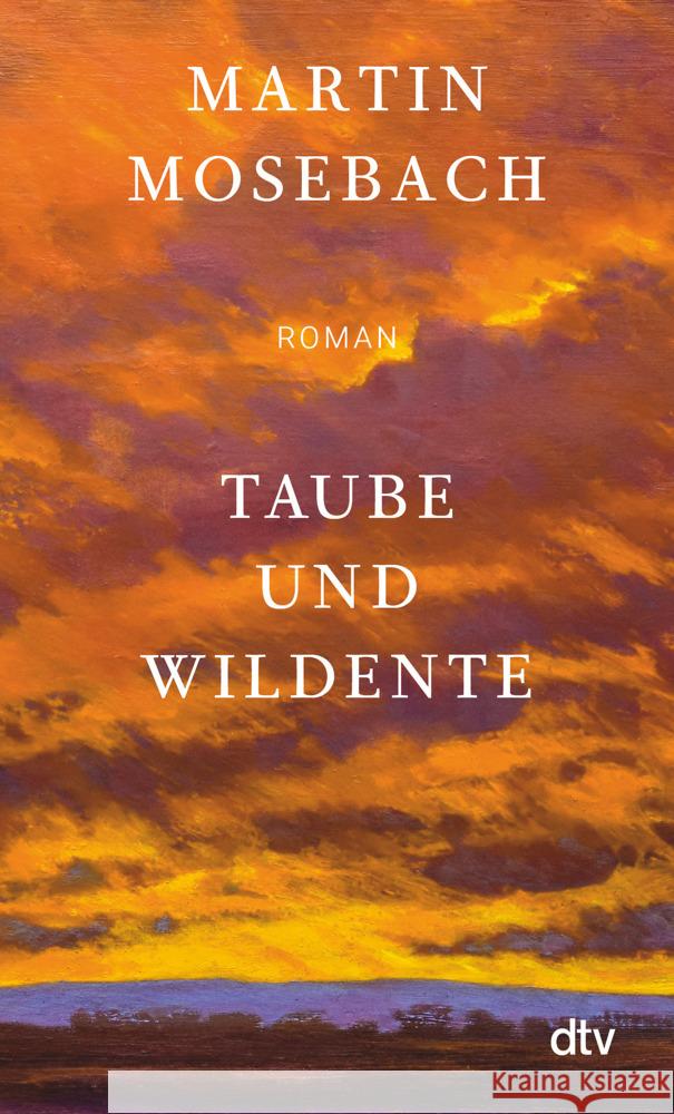 Taube und Wildente Mosebach, Martin 9783423148894 DTV