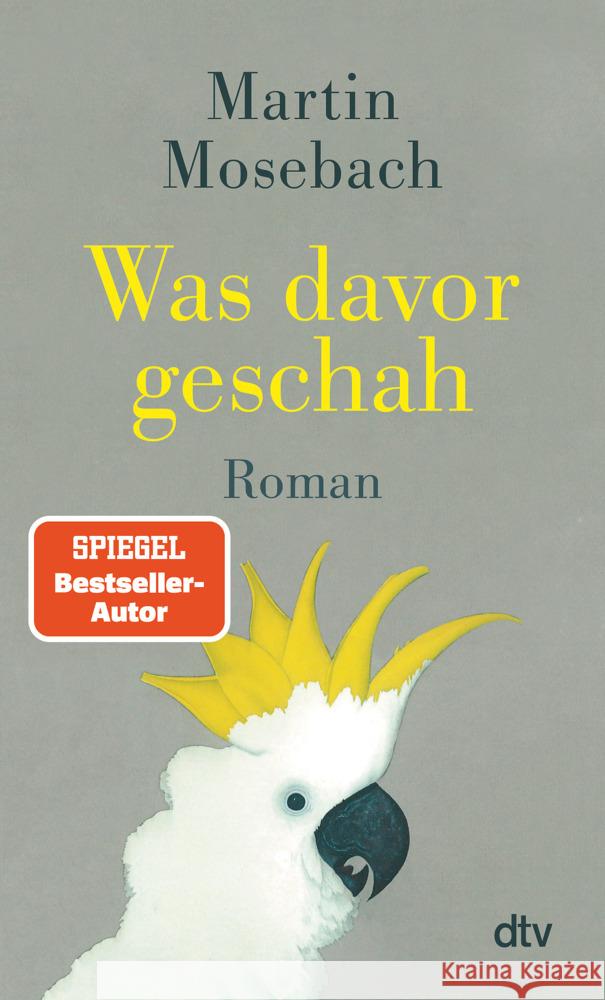 Was davor geschah Mosebach, Martin 9783423149358 DTV