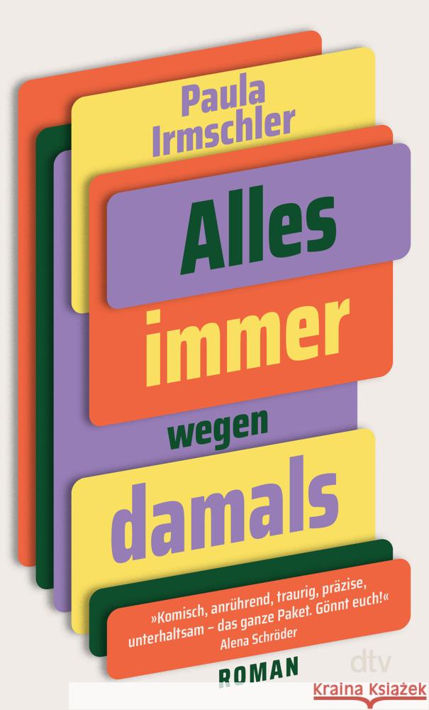Alles immer wegen damals Irmschler, Paula 9783423149532 DTV