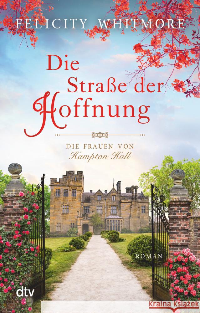 Die Straße der Hoffnung Whitmore, Felicity 9783423219471