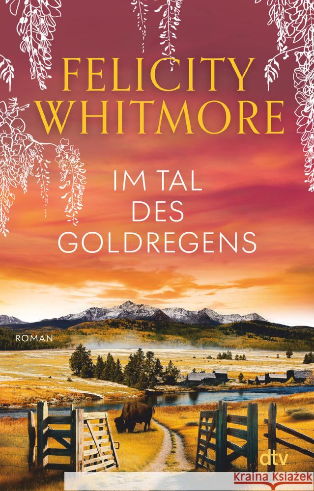 Im Tal des Goldregens Whitmore, Felicity 9783423221177