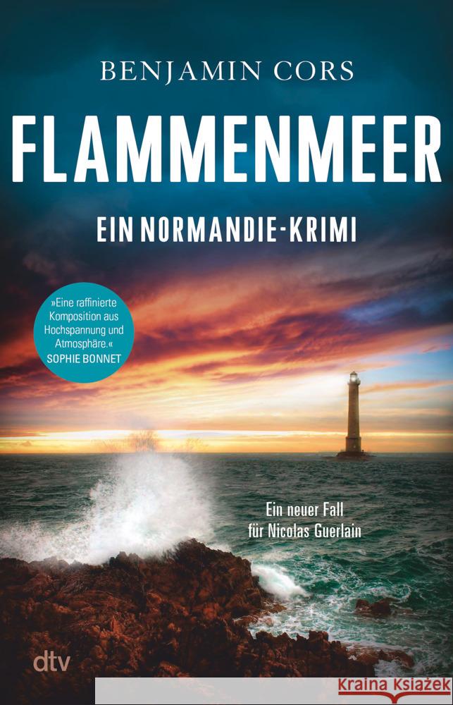 Flammenmeer Cors, Benjamin 9783423263481 DTV