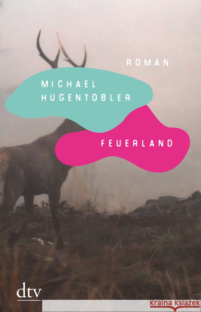 Feuerland Hugentobler, Michael 9783423282697 DTV