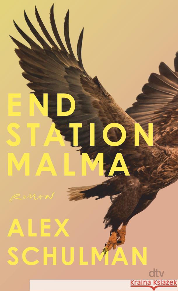 Endstation Malma Schulman, Alex 9783423283533