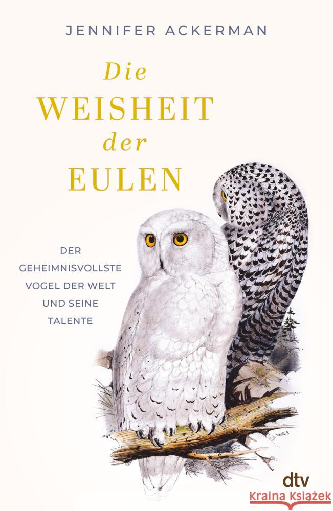 Die Weisheit der Eulen Ackerman, Jennifer 9783423284394