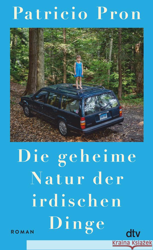 Die geheime Natur der irdischen Dinge Pron, Patricio 9783423284592