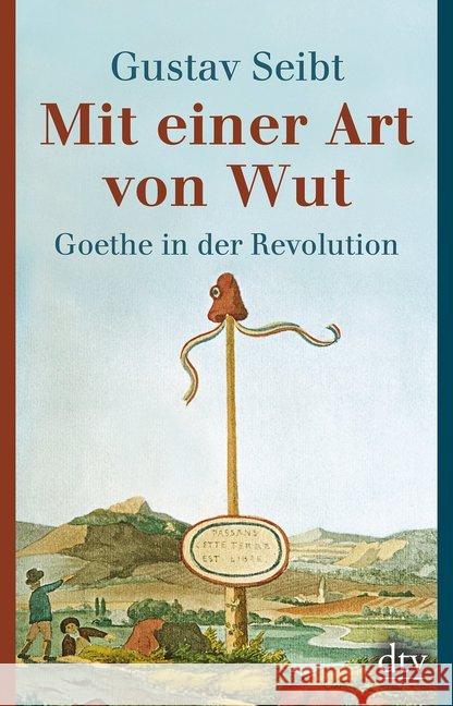 Mit einer Art von Wut : Goethe in der Revolution Seibt, Gustav 9783423349017 DTV