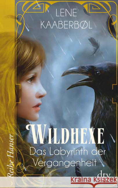 Wildhexe - Das Labyrinth der Vergangenheit Kaaberbøl, Lene 9783423626477