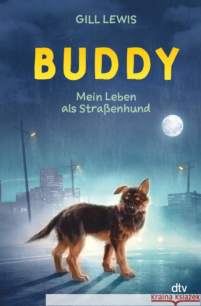 Buddy - Mein Leben als Straßenhund Lewis, Gill 9783423763677 DTV
