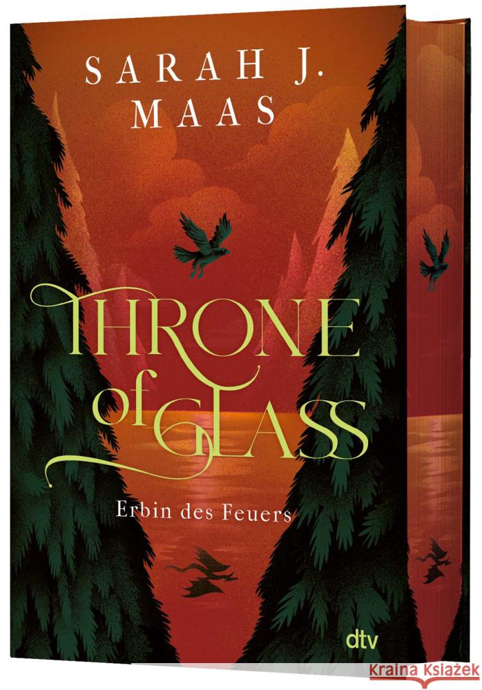 Throne of Glass - Erbin des Feuers Maas, Sarah J. 9783423765329