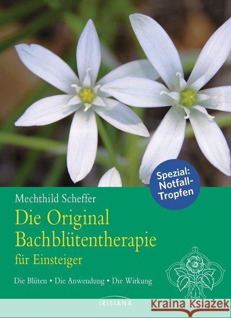 Die Original Bachblütentherapie für Einsteiger : Die Blüten - Die Anwendung - Die Wirkung Scheffer, Mechthild 9783424151909