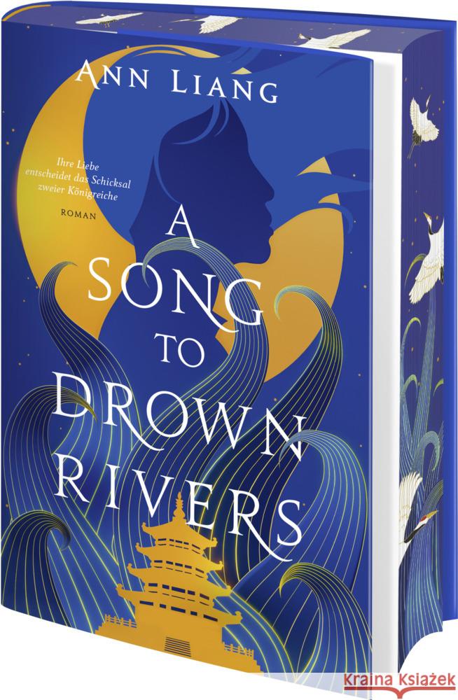 A Song to Drown Rivers Liang, Ann 9783426293461