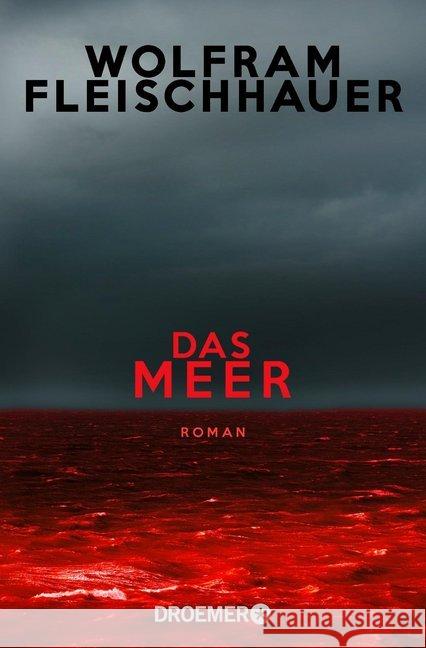 Das Meer : Thriller Fleischhauer, Wolfram 9783426307076