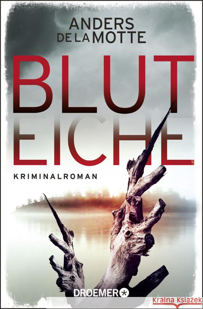 Bluteiche de la Motte, Anders 9783426307441