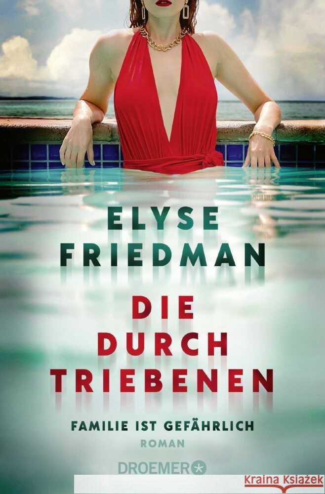 Die Durchtriebenen Friedman, Elyse 9783426309698