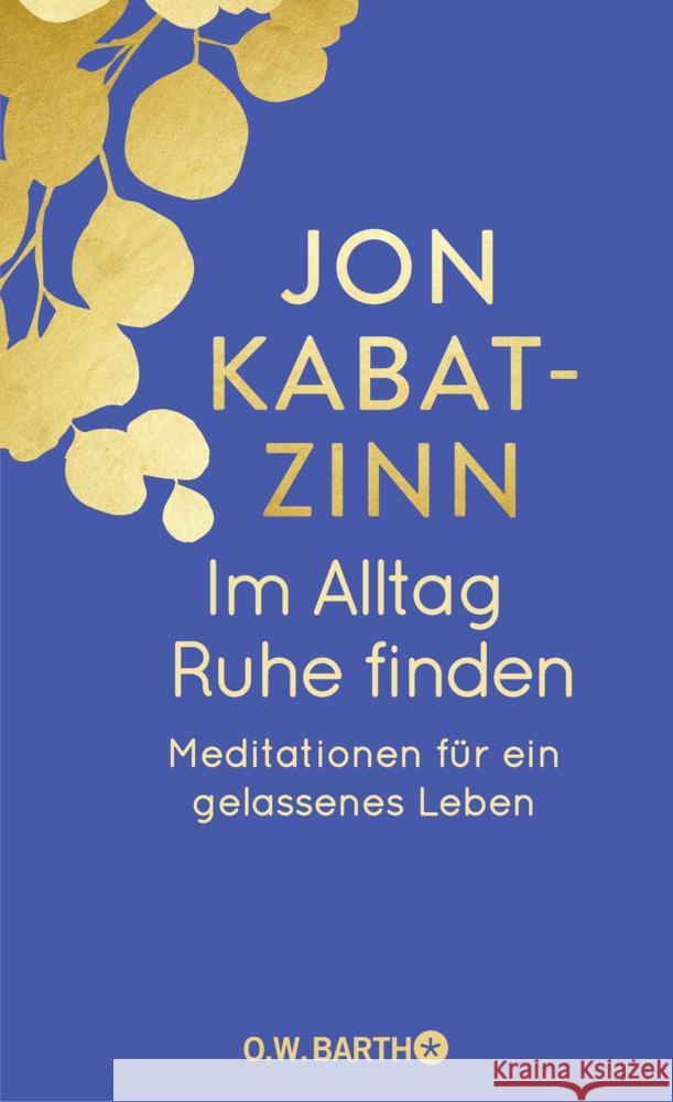 Im Alltag Ruhe finden Kabat-Zinn, Jon, Kappen, Horst 9783426447420 O. W. Barth