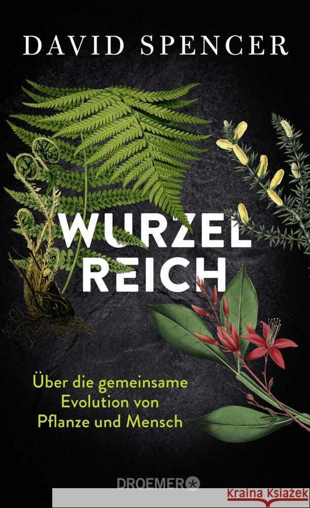 Wurzelreich Spencer, David 9783426449660