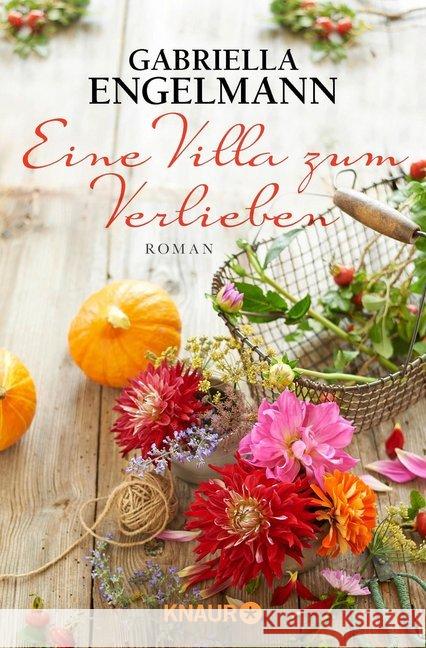 Eine Villa zum Verlieben : Roman Engelmann, Gabriella 9783426517109 Droemer/Knaur
