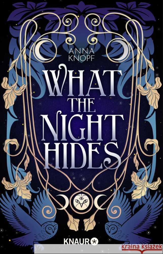 What the Night Hides Knopf, Anna 9783426563304
