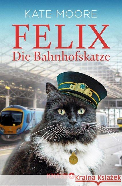 Felix - Die Bahnhofskatze Moore, Kate 9783426789513