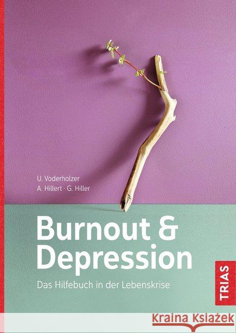 Burnout und Depression : Das Hilfebuch in der Lebenskrise Voderholzer, Ulrich; Hillert, Andreas; Hiller, Gabriele 9783432103334
