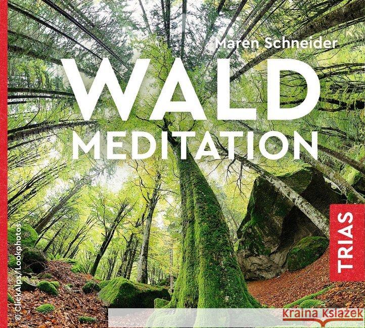 Waldmeditation, Audio-CD Schneider, Maren 9783432110066