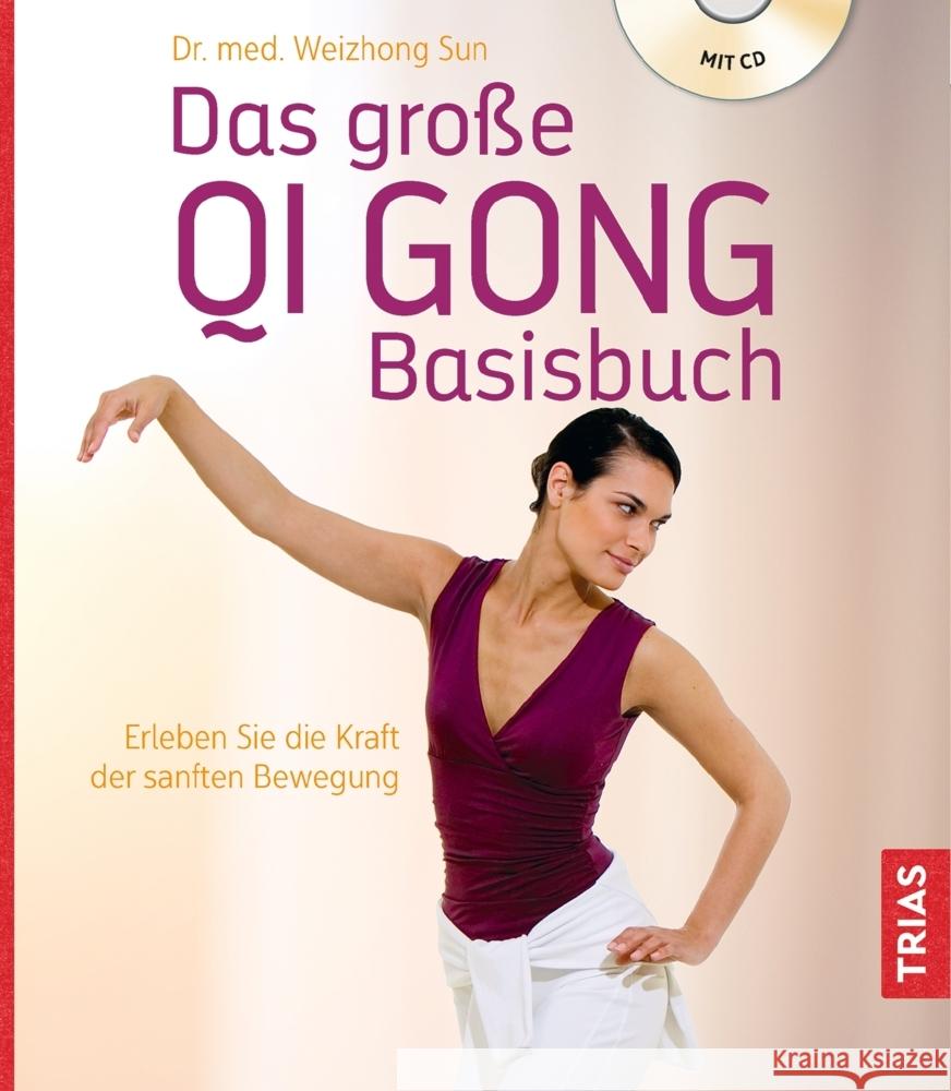 Das große Qi Gong Basisbuch : Erleben Sie die Kraft der sanften Bewegung Sun, Weizhong 9783432111063 Trias