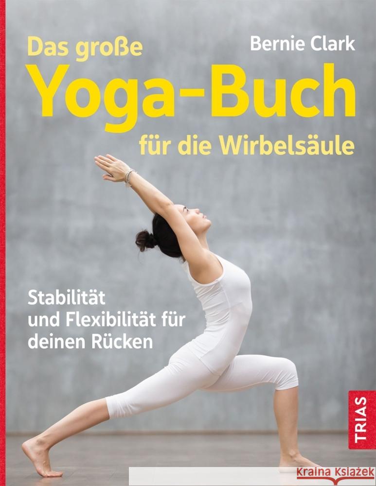 Das große Yoga-Buch für die Wirbelsäule Clark, Bernie 9783432115672