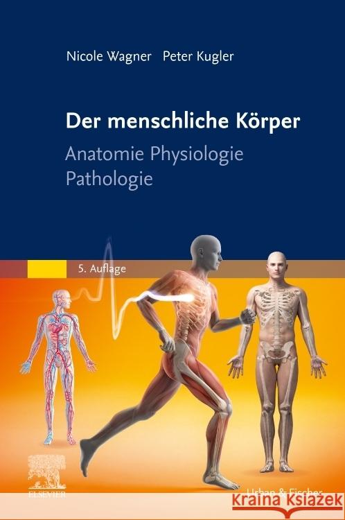 Der menschliche Körper Kugler, Peter, Wagner, Nicole 9783437251955
