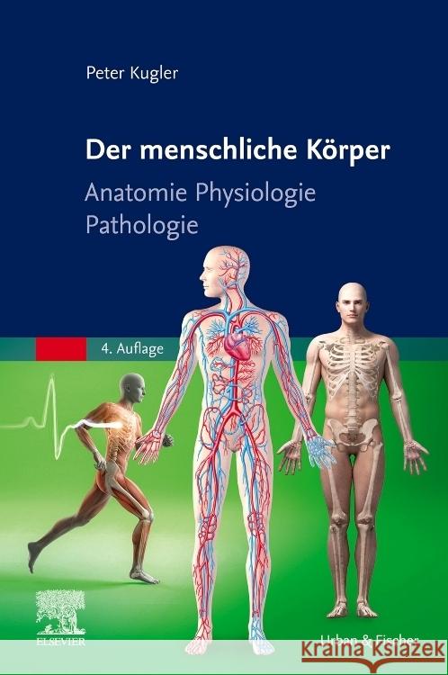 Der menschliche Körper Kugler, Peter 9783437271137