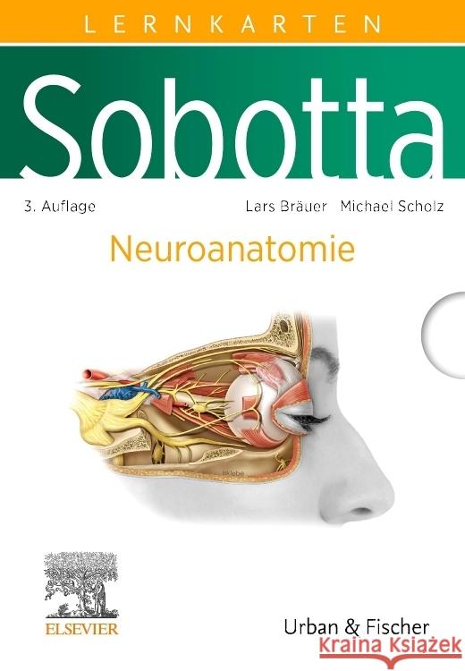 Sobotta Lernkarten Neuroanatomie Bräuer, Lars, Scholz, Michael 9783437411649