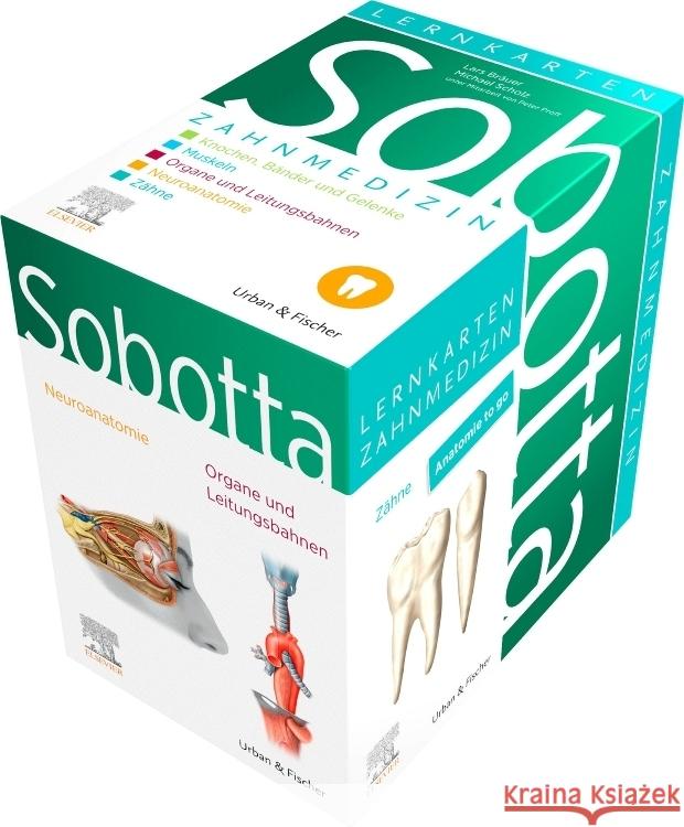 Sobotta Lernkarten Zahnmedizin Bräuer, Lars, Scholz, Michael, Proff, Peter 9783437411670