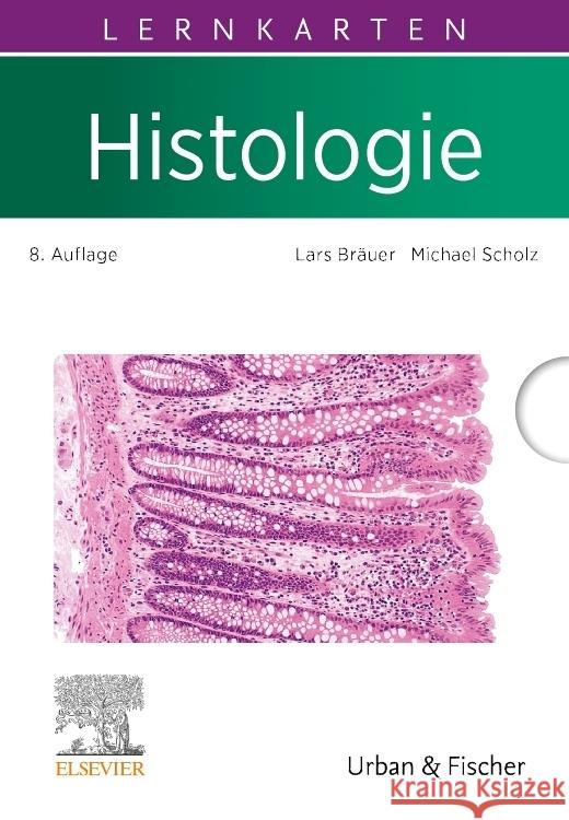 Lernkarten Histologie Bräuer, Lars, Scholz, Michael 9783437412042