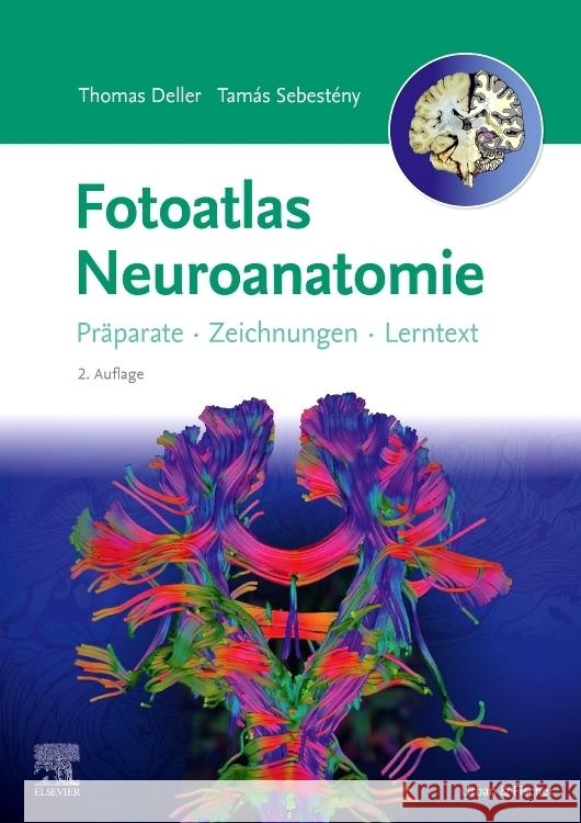 Fotoatlas Neuroanatomie Deller, Thomas, Sebestény, Tamás, Eichler, Katrin 9783437412431