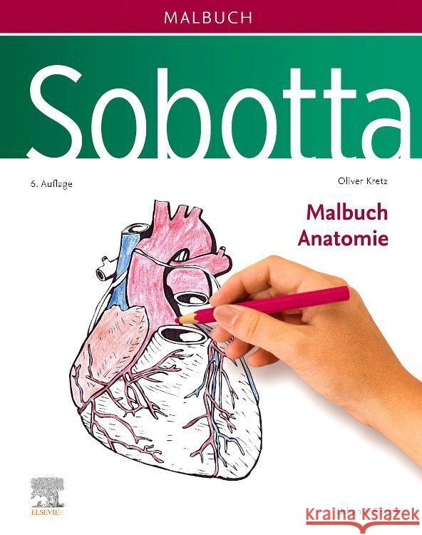 Sobotta Malbuch Anatomie Kretz, Oliver 9783437412646 Elsevier, München