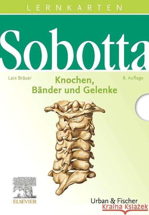 Knochen, Bänder und Gelenke, Lernkarten  9783437430268 Elsevier, München