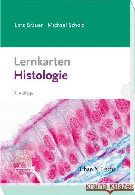 Lernkarten Histologie Bräuer, Lars; Scholz, Michael 9783437436246