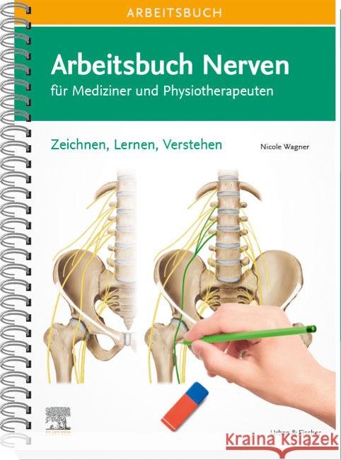 Arbeitsbuch Nerven Wagner, Nicole 9783437441806 Elsevier, München