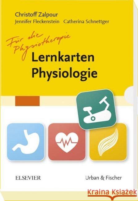 Lernkarten Physiologie für die Physiotherapie Zalpour, Christoff 9783437445200 Urban & Fischer