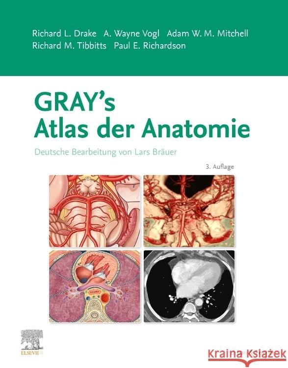 Gray's Atlas der Anatomie Drake, Richard L., Vogl, Wayne A., Mitchell, Adam W.M. 9783437447020