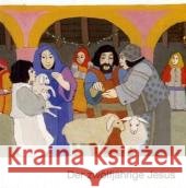 Der zwölfjährige Jesus    9783438041739 Deutsche Bibelgesellschaft