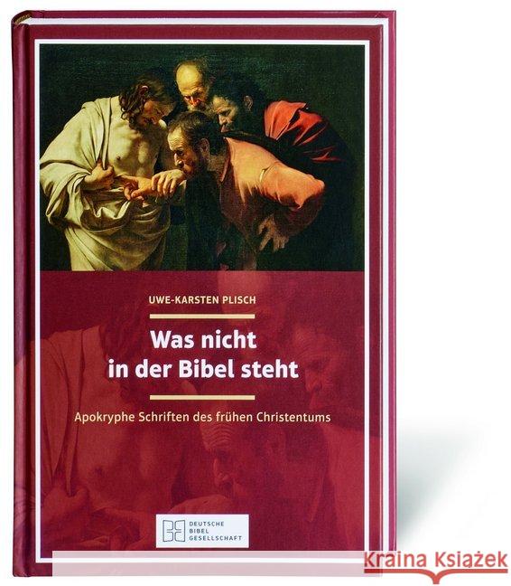 Was nicht in der Bibel steht : Apokryphe Schriften des frühen Christentums Plisch, Uwe-Karsten 9783438051486