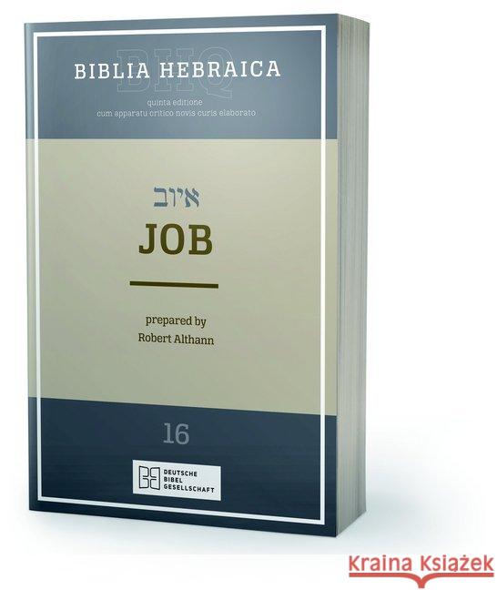 Job Robert Althann 9783438052766 German Bible Society