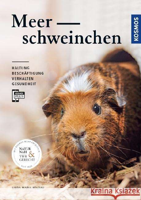 Meerschweinchen : Haltung, Beschäftigung, Verhalten, Gesundheit. Mit KOSMOS-PLUS-App Koldau, Linda M. 9783440147023 Kosmos (Franckh-Kosmos)