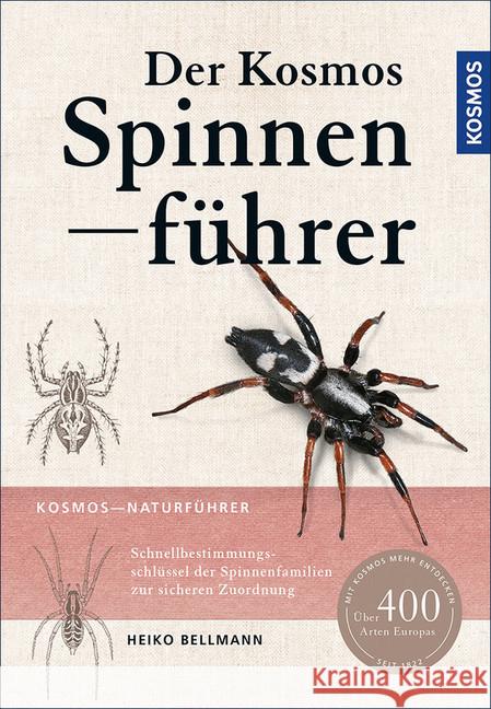 Der Kosmos Spinnenführer : Schnellbestimmungsschlüssel mit Zeichnungen. Über 400 Arten Europas Bellmann, Heiko 9783440148952