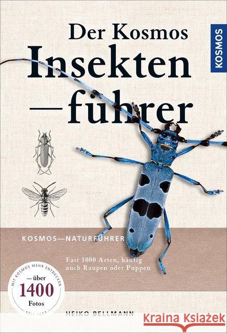 Der KOSMOS Insektenführer : Fast 1000 Arten, häufig auch Raupen oder Puppen Bellmann, Heiko 9783440155288