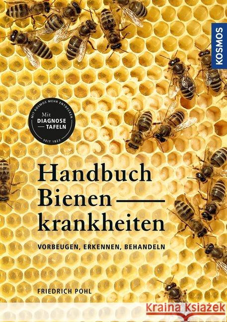 Handbuch Bienenkrankheiten : Vorbeugen, erkennen, behandeln Pohl, Friedrich 9783440156094 Kosmos (Franckh-Kosmos)