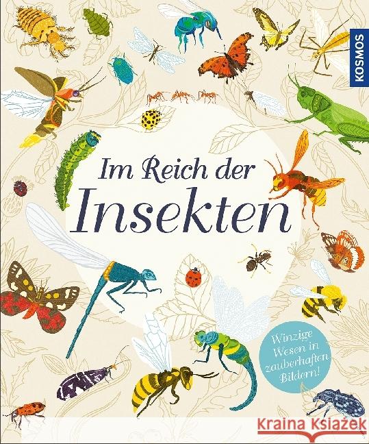 Im Reich der Insekten : Winzige Wesen in zauberhaften Bildern! Cooper, Dawn; Brooks, Susie 9783440156827 Kosmos (Franckh-Kosmos)