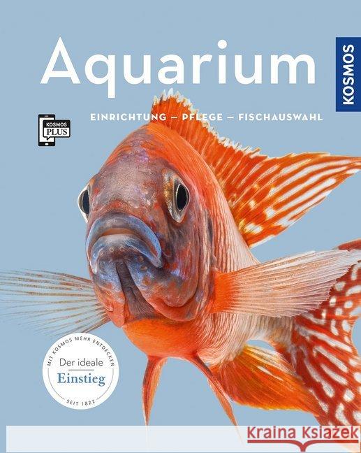 Aquarium : Einrichtung, Pflege, Fischauswahl. Der ideale Einstieg Beck, Angela 9783440164754 Kosmos (Franckh-Kosmos)