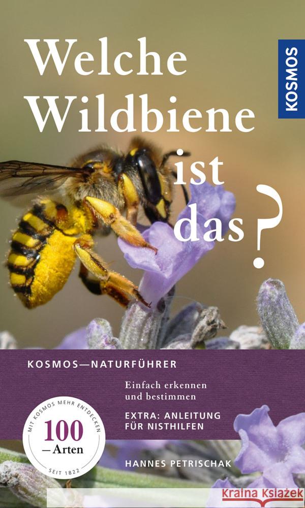 Welche Wildbiene ist das? Petrischak, Hannes 9783440168936 Kosmos (Franckh-Kosmos)